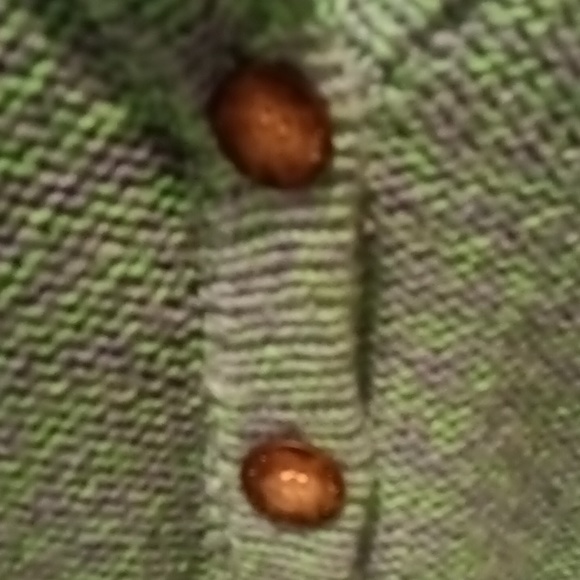 FINAL PRICE American Eagle Outfitters purple/green sweater w brown buttons - Picture 13 of 13